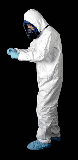  Emeryville, CA Mold Removal Pros